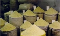نرخ انواع برنج مازندران اعلام شد