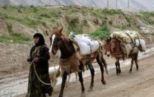 درنگ ییلاق در گرمای قشلاق