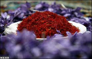 اجراي طرح جامع زعفران در فارس