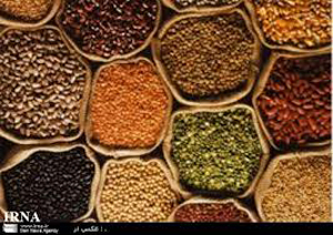 تولید یک سوم غلات کشور در فارس