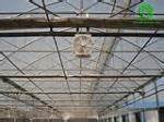 صدور خدمات مهندسی کشاورزی به قزاقستان و آذربایجان