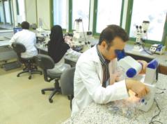 افزایش 67 درصدی هزینه پژوهش ایمیدرو و شركت های تابعه