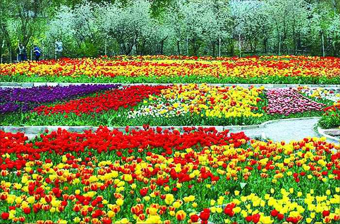 آغاز به کارهفتمین نمایشگاه بین المللی گل وگیاه