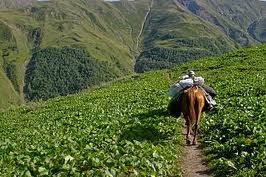 رونق کشاورزی در روستاهای مرزی کردستان