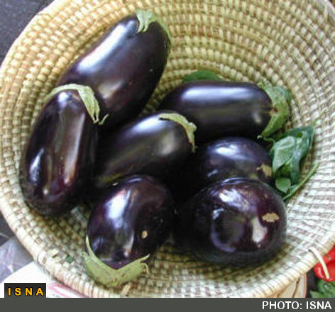 زنان باردار و شیرده بادمجان را با احتیاط مصرف کنند