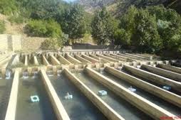 اشتغالزایی برای 830 نفر در سیستان و بلوچستان