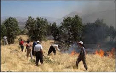 دو هکتار از مراتع طبیعی روستای ˈچاه تلخˈ باشت در آتش سوخت