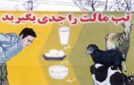 دامپزشکی شهرستان بیجار در خصوص افزایش تب مالت هشدار داد
