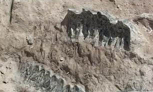 کشف فسیل‌های 9 میلیون ساله  + فیلم