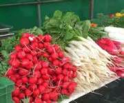 غیرقابل مصرف بودن نوعی سبزیجات بسته بندی شده