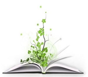 اهدای١٦٠ کتاب ارزشمند به کتابخانه آستان مقدس حضرت شاهچراغ (ع)