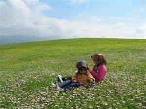 بهار آفتابی و مطبوع در گیلان