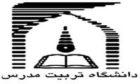سیاه‌نمایی برخی نامزدهای انتخاباتی باعث کاهش وجهه آن‌ها نزد مردم خواهد شد