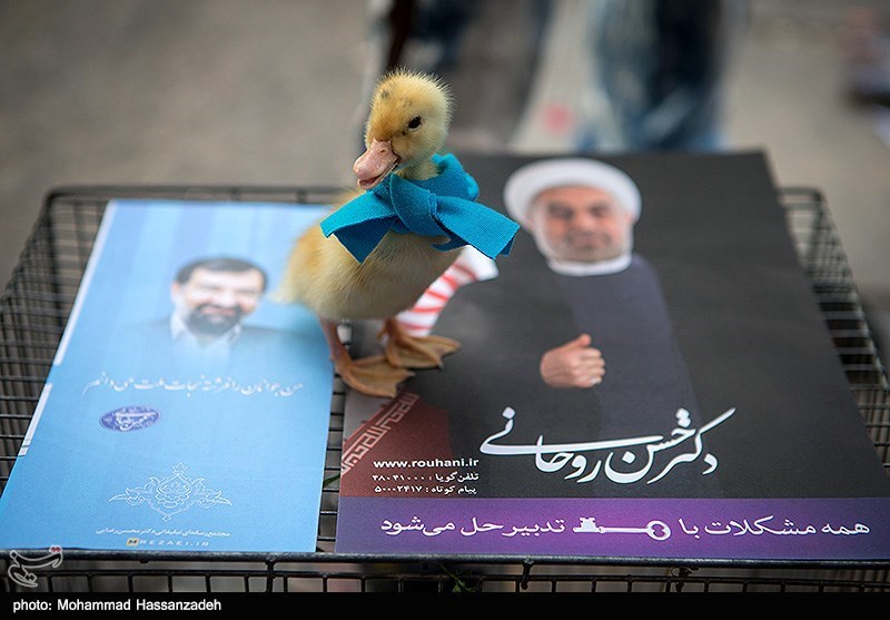 لباس انتخاباتی یک جوجه ! /عکس