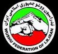 ووشو کار بوشهری به مرحله پنجم اردوی آمادگی تیم ملّی دعوت شد