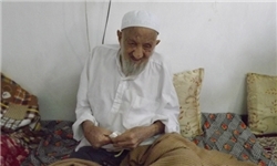 تنها‌ بازمانده ‌حادثه‌ گوهرشاد