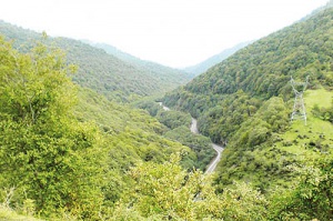 سفر به جنگل فندق اسكلو
