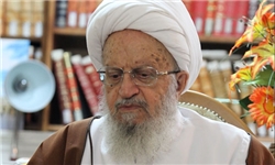 آیت الله مکارم شیرازی در انتخابات شرکت کرد