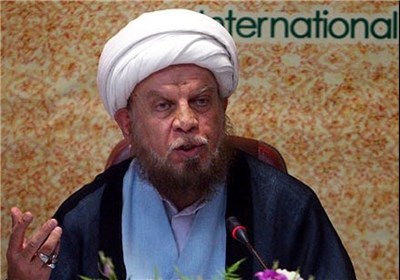 انتخابات ریاست جمهوری ایران می تواند الگویی برای کشورهای میزبان بیداری اسلامی باشد