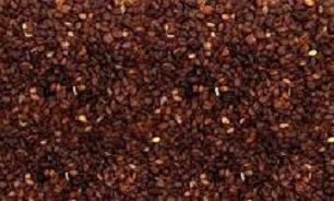از خواص کنجد چه می دانید؟