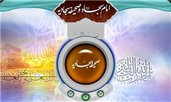صحیفه سجادیه جامع‌المعارف عرفانی است