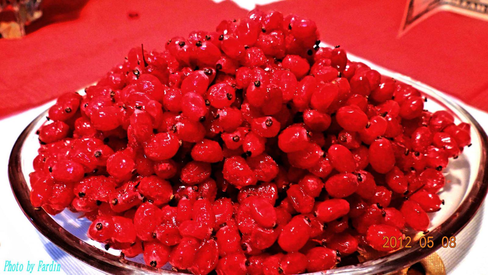 تولید سالانه 14 هزار تن زرشک در خراسان جنوبی