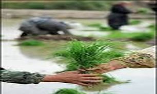 افتتاح دو طرح آبخيزداري به مناسبت هفته جهاد كشاورزي در آذربايجان غربي