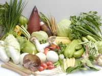 توصیه های بهداشتی برای مسافران تابستانی