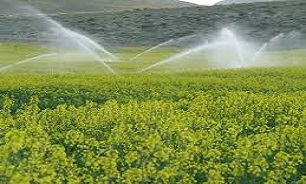 49 هزار هکتار آمار اراضی مجهز به سیستم های نوین آبیاری