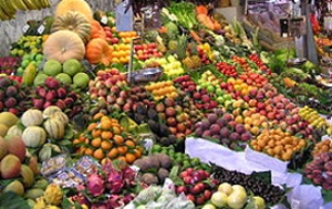 تولید محصولات باغی در فارس با ارزش افزوده 900 میلیون دلار