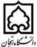 برگزاری اولین کنفرانس بین المللی مهندسی معدن، فرآوری مواد معدنی، متالوژی و محیط زیست در دانشگاه زنجان