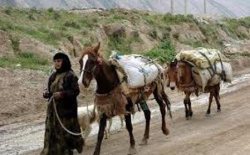 كوچ بهاره عشایر پارس آباد آغاز شد