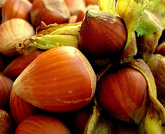 درمان کم خونی با خوردن فندق