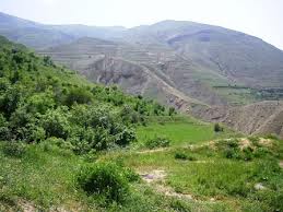 مستند "ارس‌" در دستان "سبط‌ احمدی‌"
