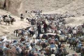 قاچاق سوخت در بانه به حداقل رسيد