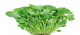 تره چه خواصی دارد؟