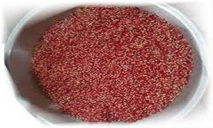با خواص دارویی روغن هسته انار آشنا شوییم