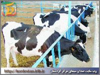 افتتاح 223 طرح جهاد کشاورزی در کردستان