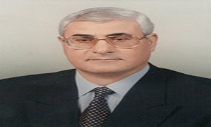 رئیس جمهور موقت مصر اختیار صدور بیانیه های قانون اساسی را دارد