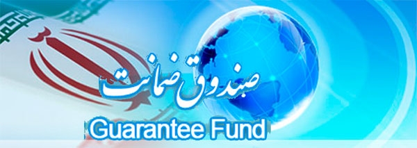 تا سقف یک و نیم میلیارد تومان از تعاونی ها حمایت می کند