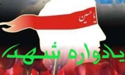 یادواره 14 شهید روستای باجگان بافق برگزار شد
