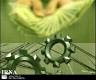 توليد كنندگان بايد جايگاه دائمي در ذهن مردم داشته باشند‏