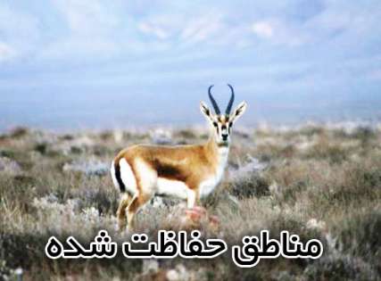 تشکیل کمیته کارشناسی سرمایه گذاری گردشگری مناطق حفاظت شده