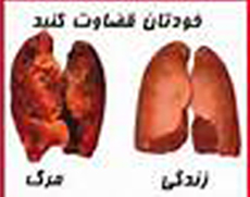 دروازه ی ورود به جهنم اعتیاد