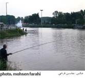 اجرای طرح لایروبی تالاب عینک رشت