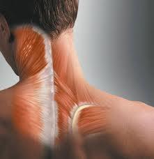 بیماری ALS ماهیچه ها را ضعیف می کند