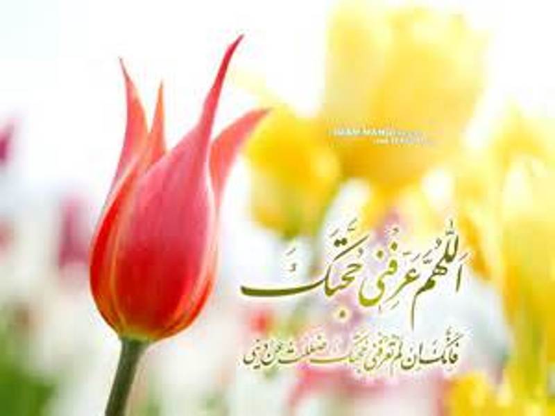 ويژه برنامه ميلاد گل نرگس