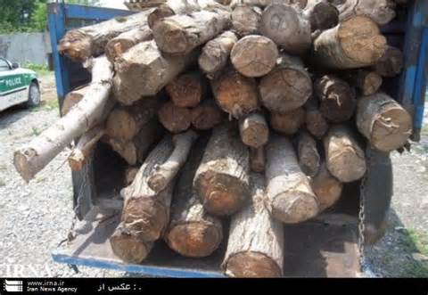 كشف چوب قاچاق در سياهكل
