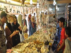 مشارکت روستاییان جزیره در مدیریت ژئوپارک جهانی قشم