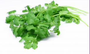 رفع اختلالات گوارشي با مصرف گشنيز